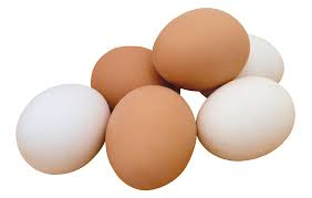 Essentiella Aminosyror ägg